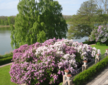 Syrenparken set fra værelset Dallund maj 2007